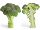 Wie gesund ist Brokkoli?